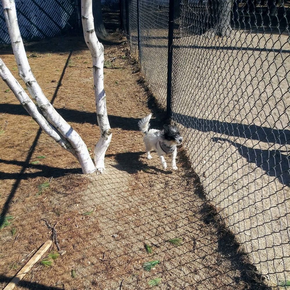 Meet your Posher, Missy